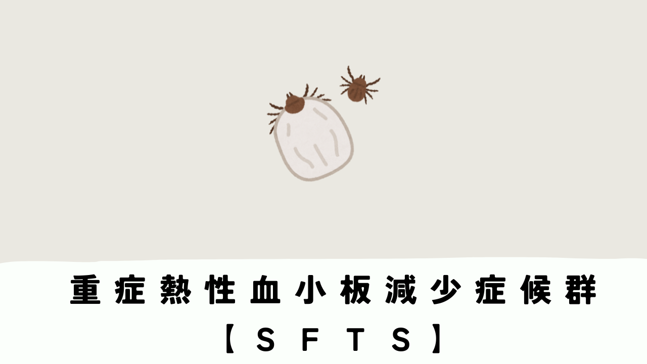 獣医師が感染疑いで死亡｜SFTS（重症熱性血小板減少症候群）とは？感染経路・症状・予防対策を解説