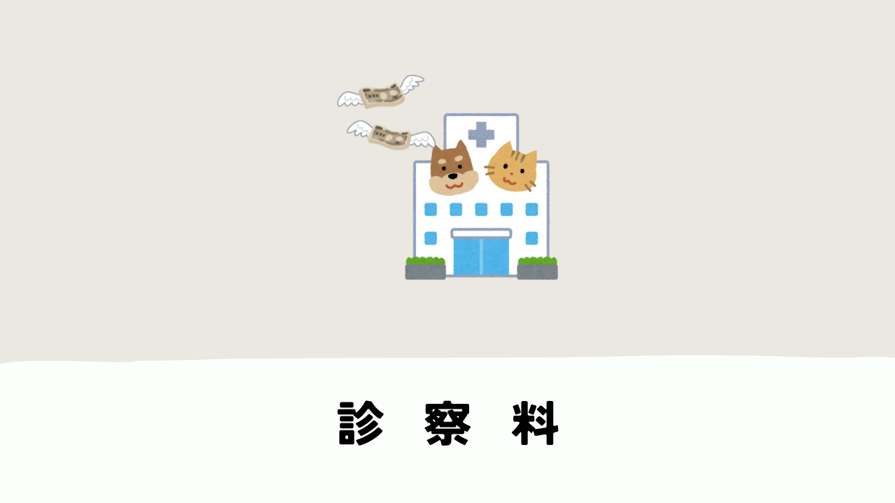 動物病院の医療費はなぜ違う？費用の目安を2023年調査からわかりやすく解説