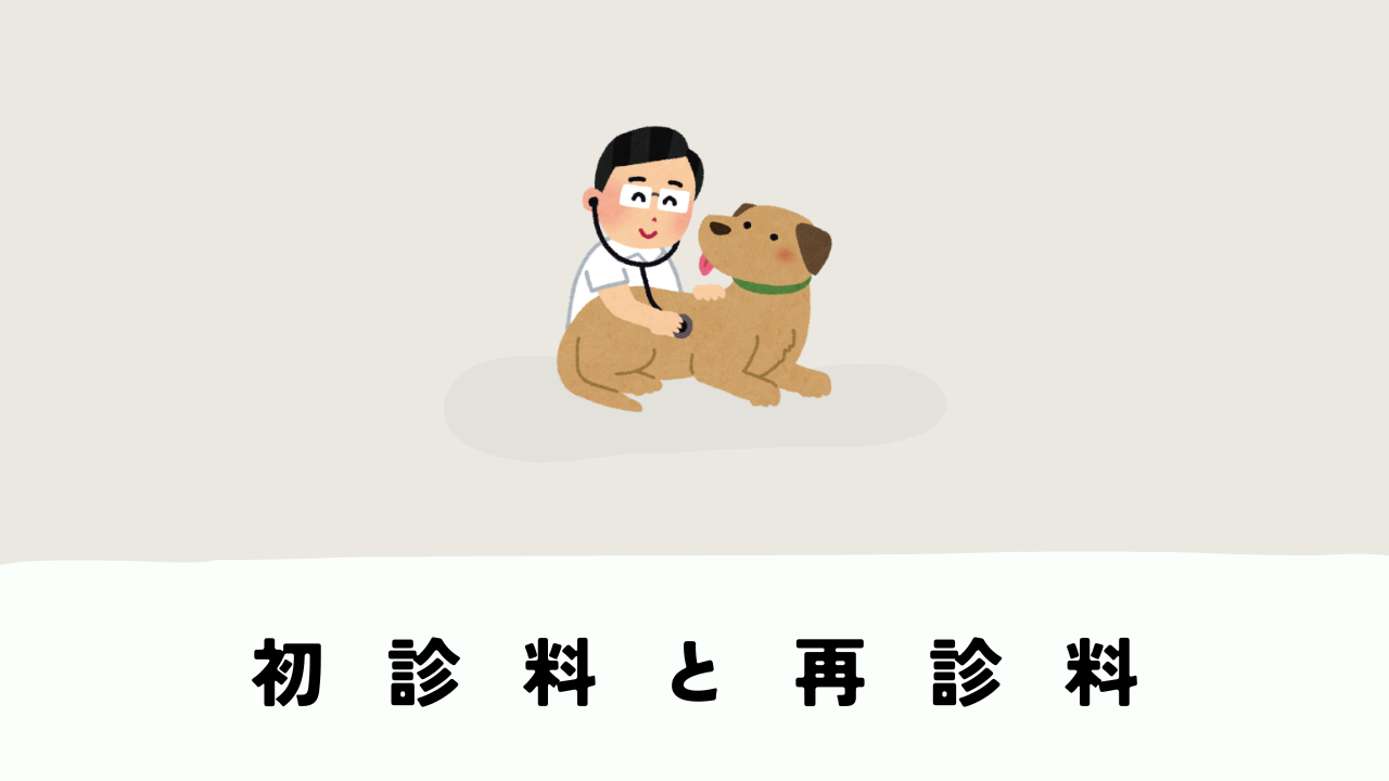 再診なのに初診料がかかるのはなぜ？動物病院の診察料にまつわるよくある疑問を解説