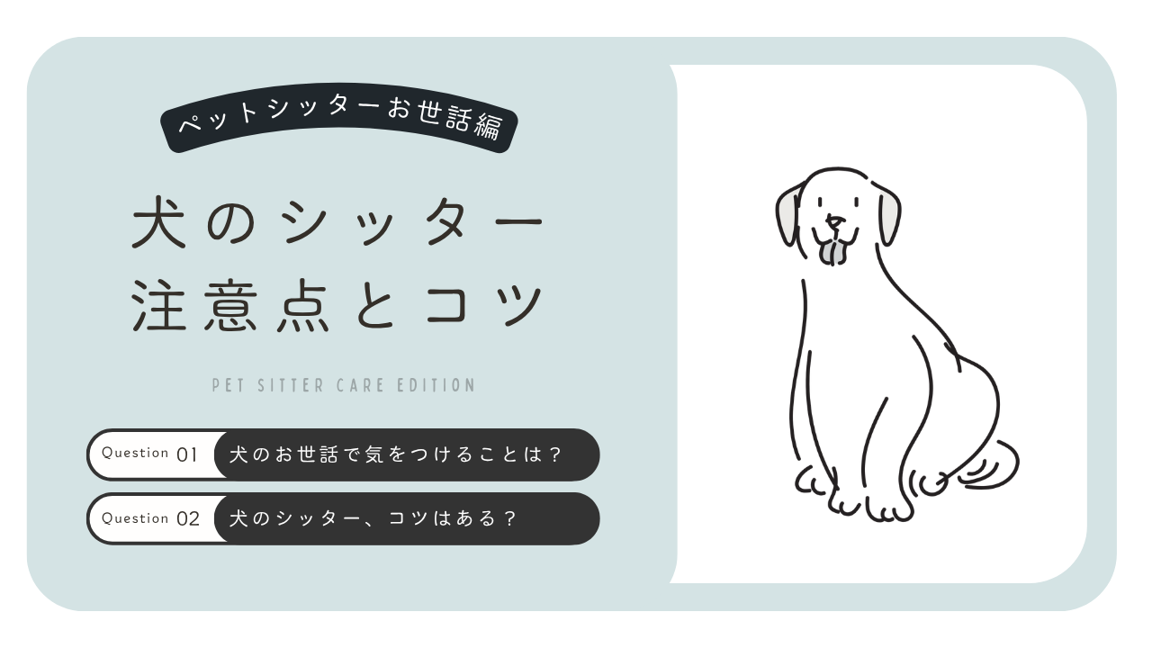 犬のペットシッターをするときの注意点とは？初心者が知っておきたい5つの注意点と4つのコツ