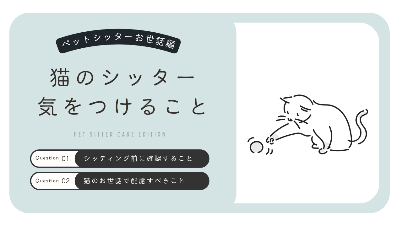 猫のペットシッターで気をつけたいこととは？犬との違いとお世話の注意点を解説