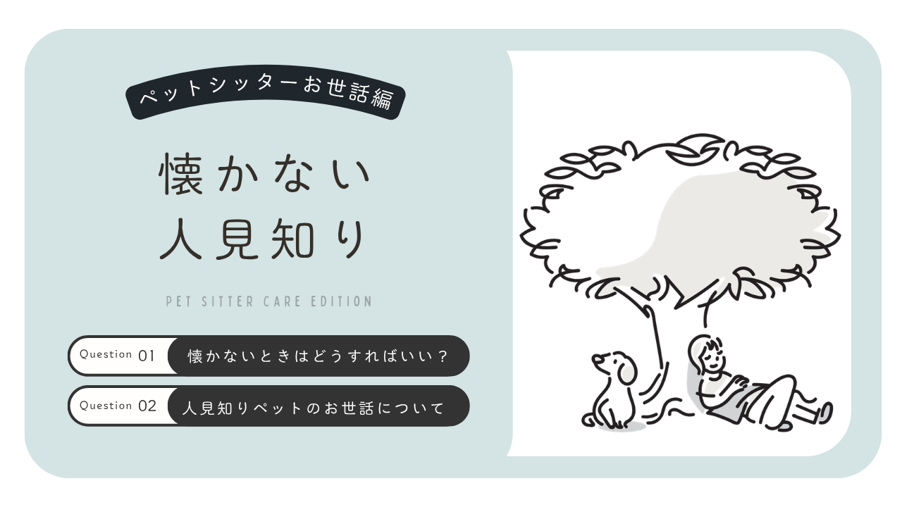 人見知りのペットのお世話はどうする？距離感を大切にした訪問のコツ