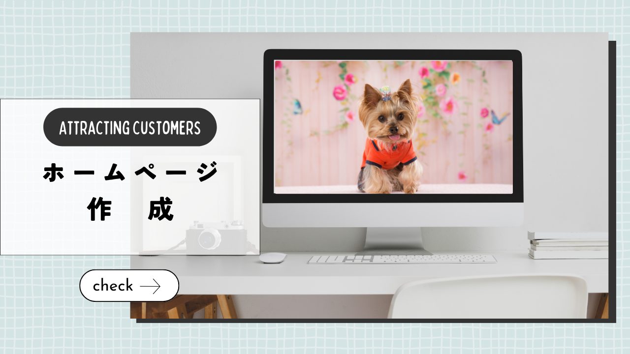 ペットシッターのホームページには何を書く？開業したら載せたい基本項目まとめ