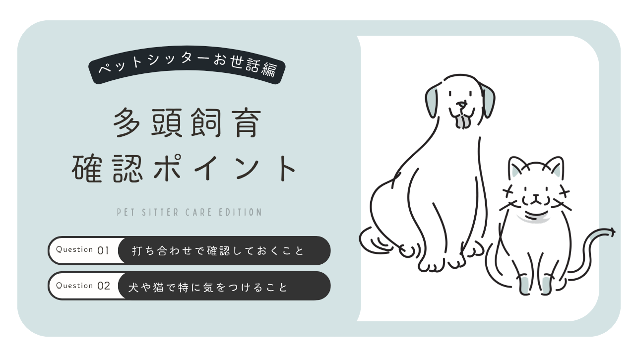 多頭飼いのお世話で気をつけたいこと｜1匹だけのときと違う確認ポイント